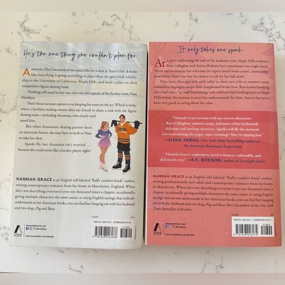 Icebreaker and Wildfire Books by Hannah Grace SOLD TOGETHER - Picture 3 of 3